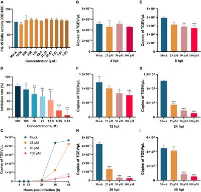 Myricetin inhibits transmissible gastroenteritis virus replication by targeting papain-like protease deubiquitinating enzyme activity